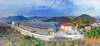 Hangzhou Yongde Electric Appliances Co.,Ltd