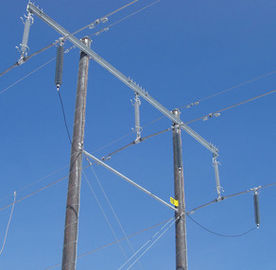 よい価格 合成の収容された送電線サージの防止装置の高圧、ケイ素のゴム材料 オンライン